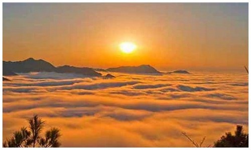 恐龙岛峡谷绝境大逃亡：被迅猛龙群疯狂围猎，每一秒都在生死边缘疯狂试探