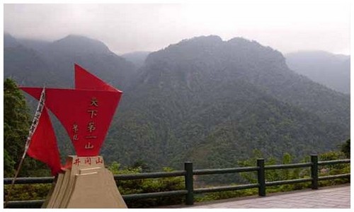 恐龙岛沼泽惊魂遭遇战：在泥泞与毒气中潜伏的棘龙，成为所有登岛者的噩梦